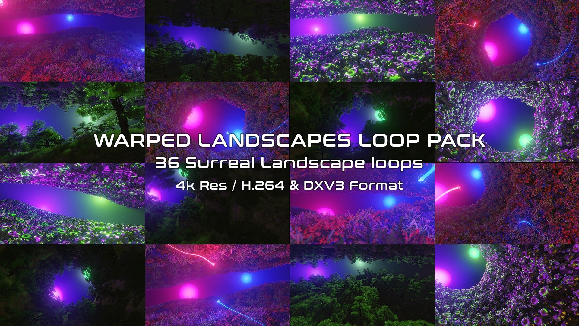 Cover image for Warped Landscapes Loop Pack