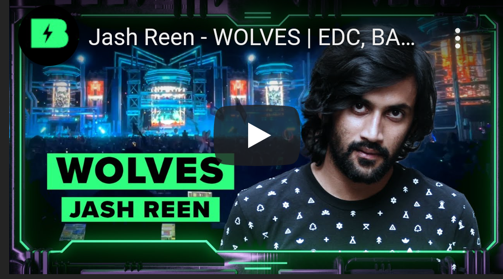 Cover image for Jash Reen - WOLVES | EDC, BASSPOD, SULLIVAN KING, EXCISION & MORE | Concert Visuals Interview