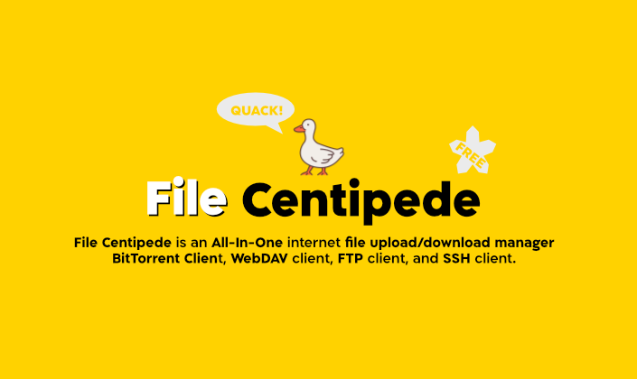 Cover image for File Centipede