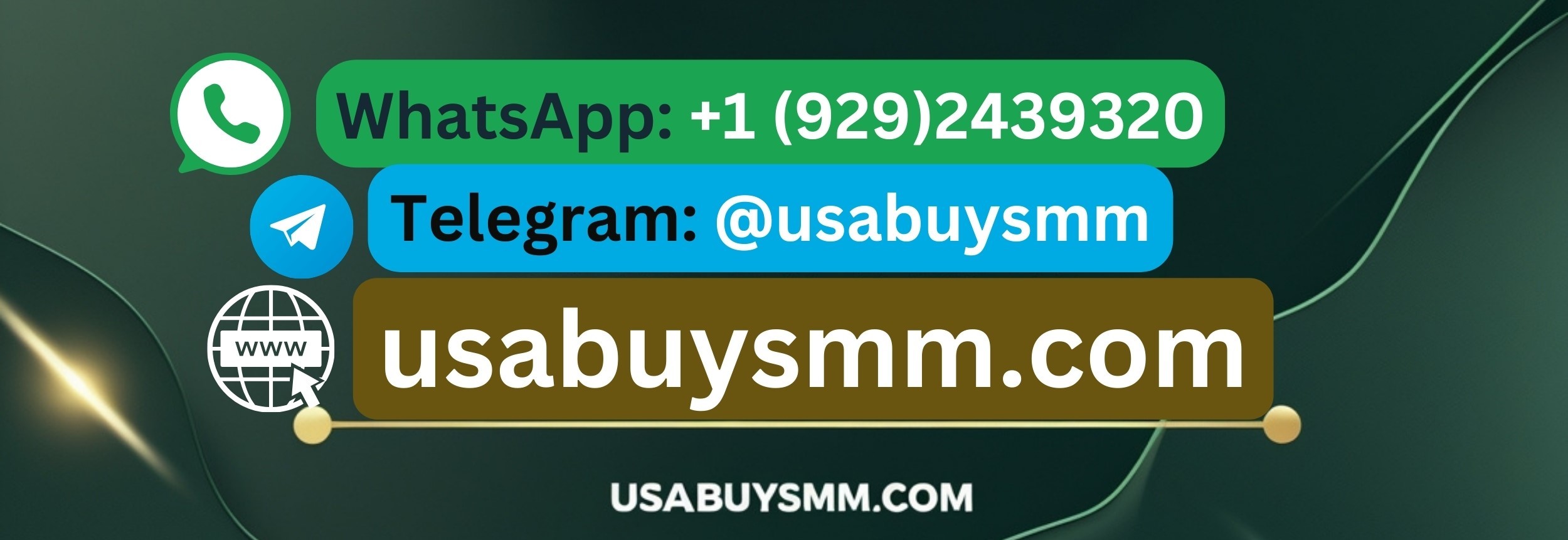 Cover image for usabuysmm.com/product/buy-verified-paypal-account