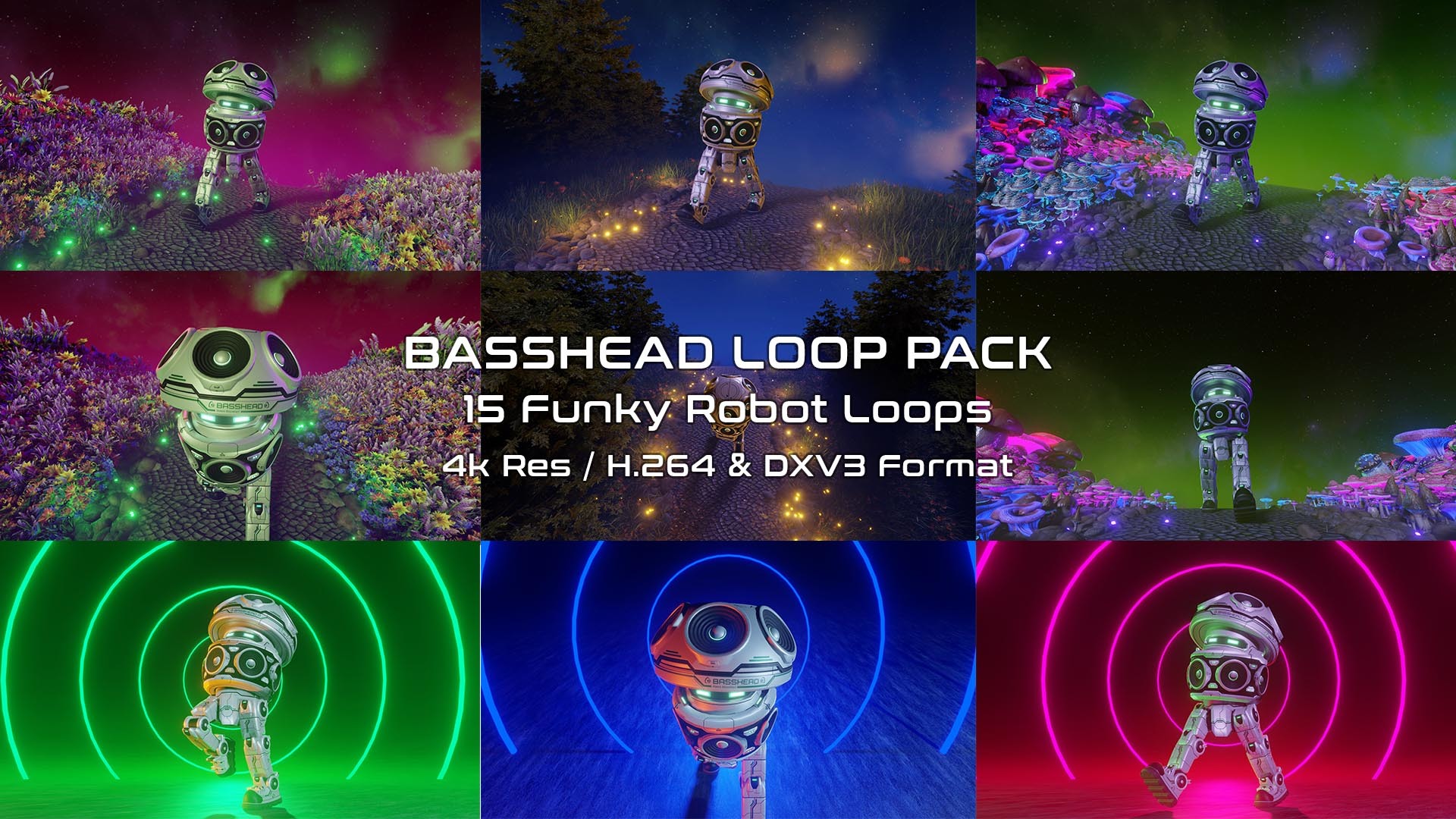 Cover image for Basshead Speaker Robot Loop Pack