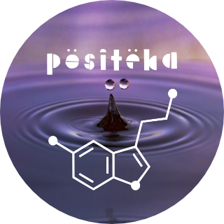 Positeka logo