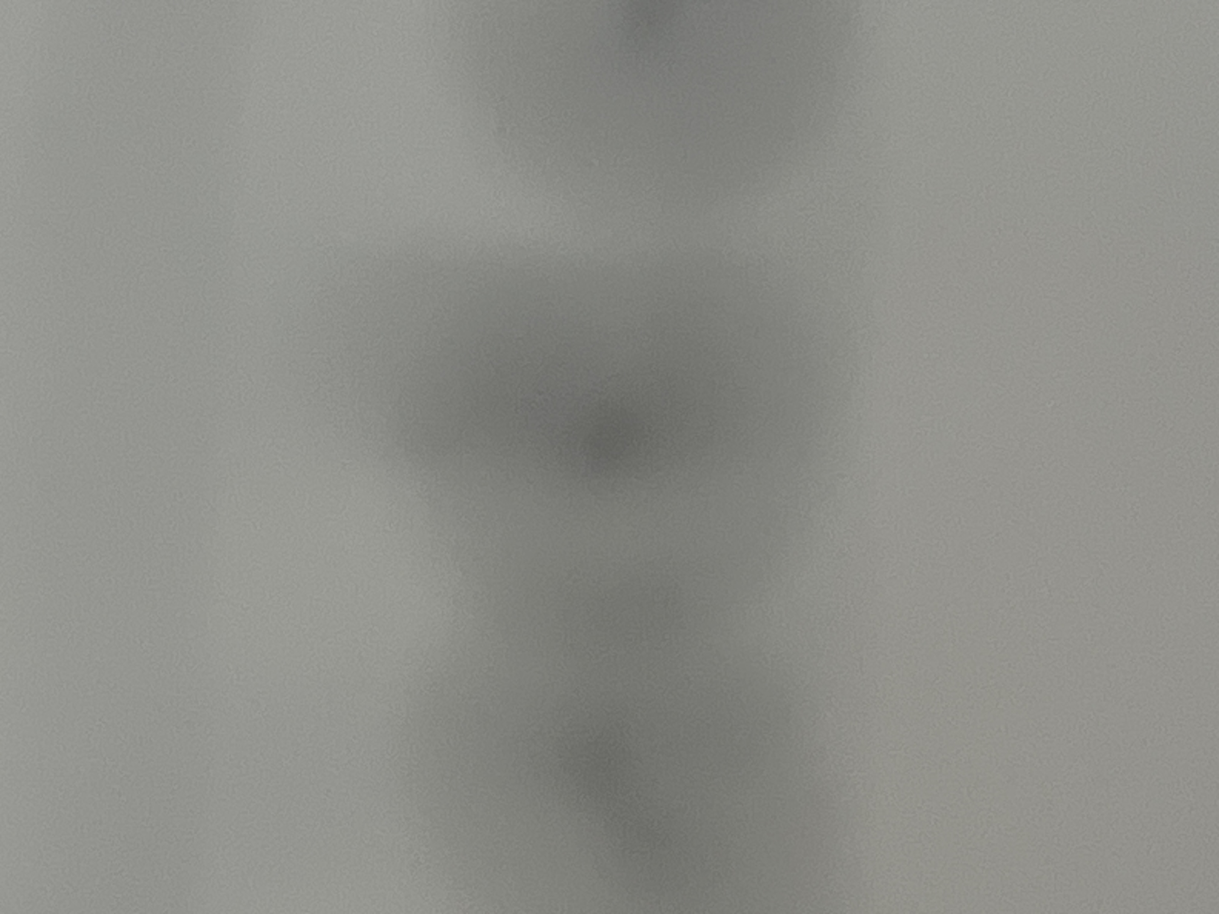 Ana Victoria Garcia profile picture