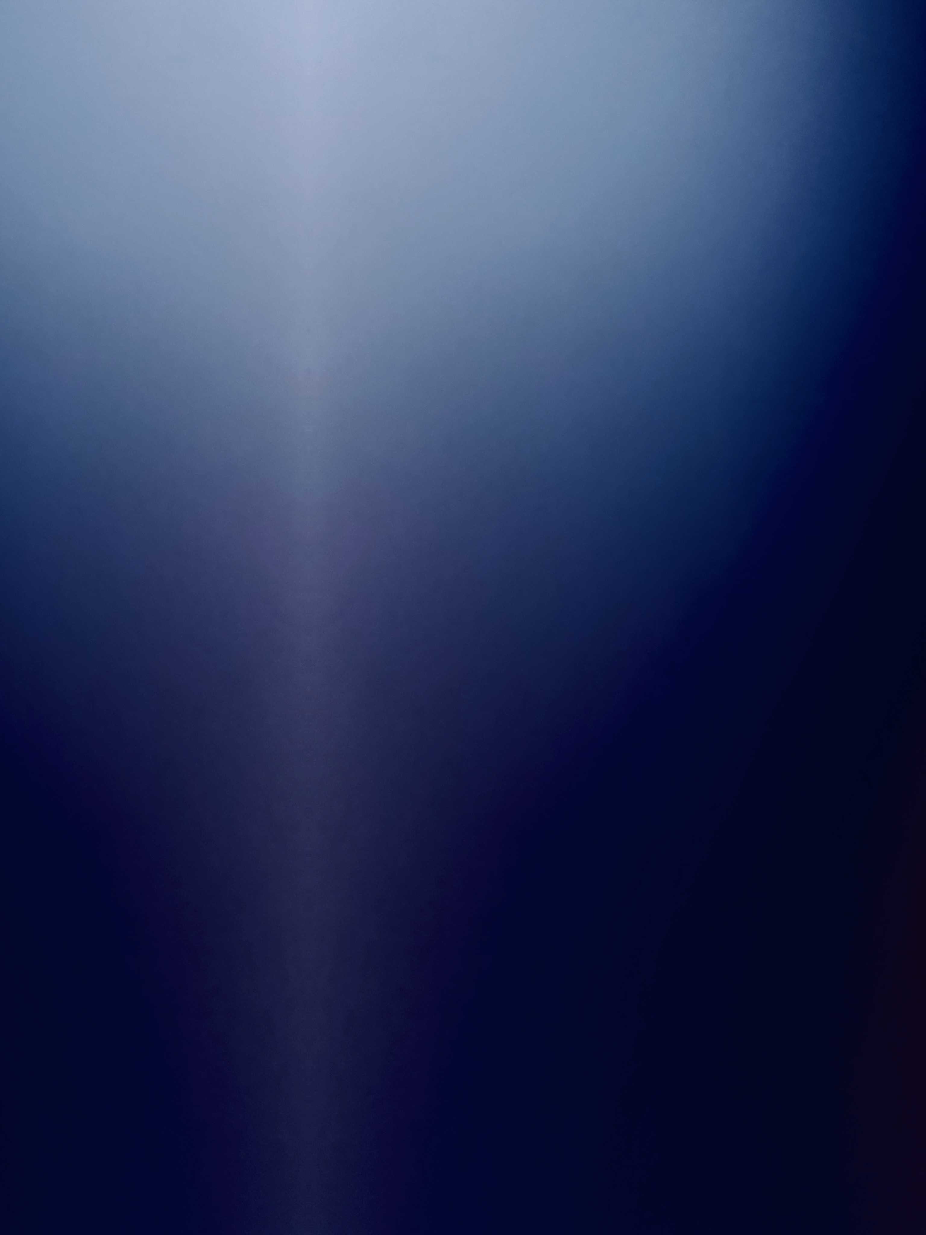 Alexis worrall profile picture